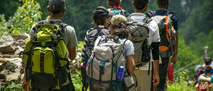 a group of hikers going through a forest