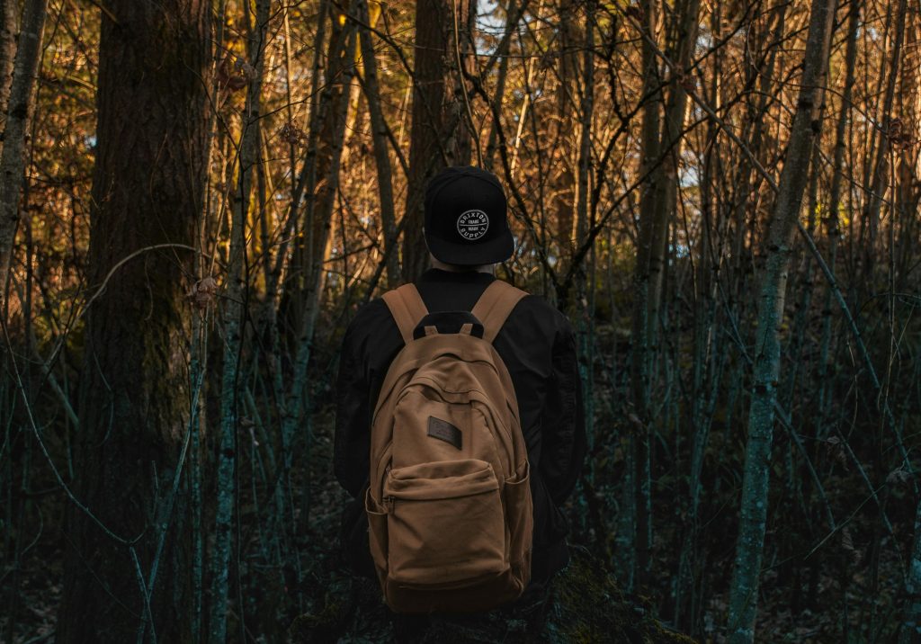 a brown backpack on someone's back.